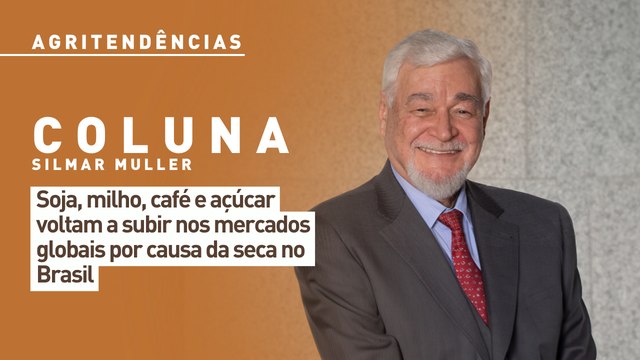 Soja, milho, café e açúcar voltam a subir nos mercados globais por causa da seca no Brasil