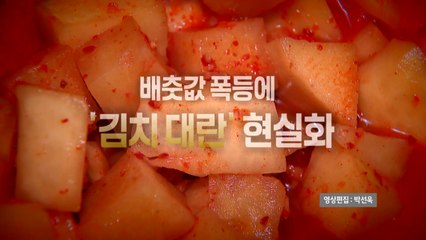 [영상] '금치' 된 김치...내일부터 중국산 배추 투입 / YTN