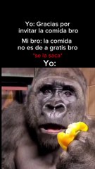 Como que no es gratis #humor #memeslatinos #mexico #comedia #funnymemes #funny #meme #humorlatino #humorespañol #memesgraciosos #memesdaily #memes2024  #mejoresamigos