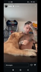 silvio con calma con calma