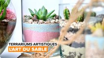 Terrariums artistiques : l'art du sable