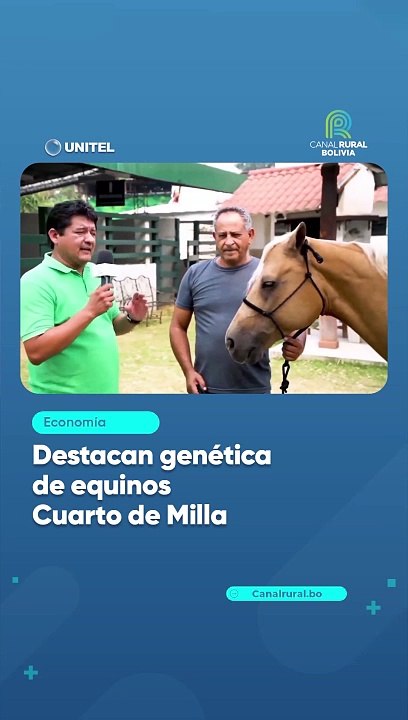 Destacan genética de equinos Cuarto de Milla