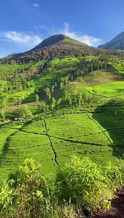 gunung cilik Wonosobo Jawa Tengah punya