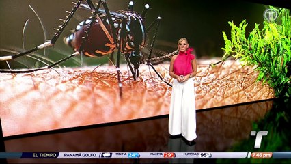 Las Garzas es uno de los corregimientos con más casos de dengue