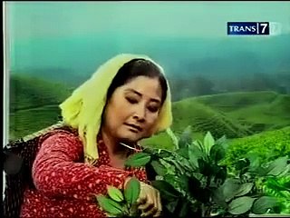 [Arsip] Iklan Parodi "Teh Galon" | Beritawa Trans7
