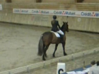 Mandy et Moi Dressage C2P