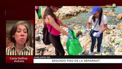 Segundo piso de la Semarnat | Carla Delfina Aceves
