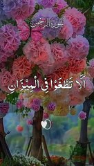 Most Beautiful And Peacefull Heart Touching Quran