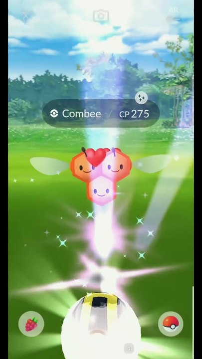 Pokémon GO-Shiny Combee