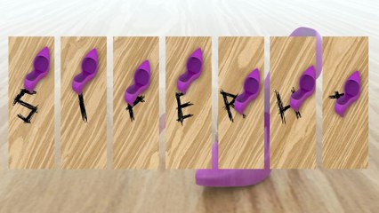 Slipper shot 3D animation