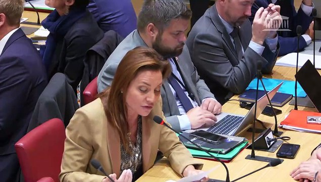 Commission du développement durable : M. Emmanuel Hyest, président de la Fédération nationale des sociétés d’aménagement foncier et d’établissement rural (FNSafer) sur l’artificialisation des sols - Mercredi 25 septembre 2024