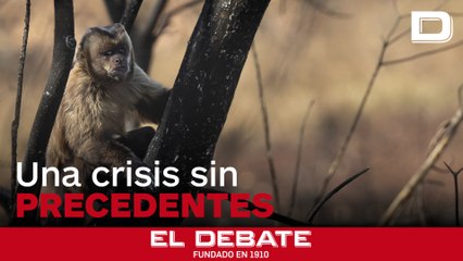 La crisis sin precedentes de la que alertan los indígenas en Hispanoamérica