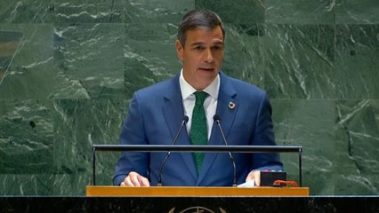 Pedro Sánchez: "La democracia libra una batalla por su supervivencia"