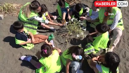 Mersin’de Kum Zambakları Koruma Altına Alındı