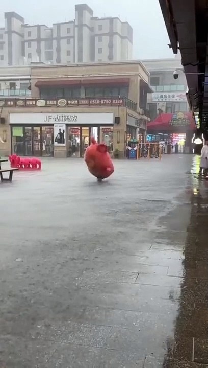 Découvrez la charmante petite souris qui brave la pluie avec courage !