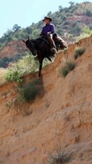 La coordination entre le cavalier et son cheval est tout simplement époustouflante !