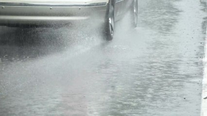 [날씨] 곳곳 기습 소나기...내일~모레 동해안 '가을 호우' / YTN