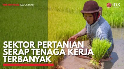 Sektor Pertanian Serap Tenaga Kerja Terbanyak