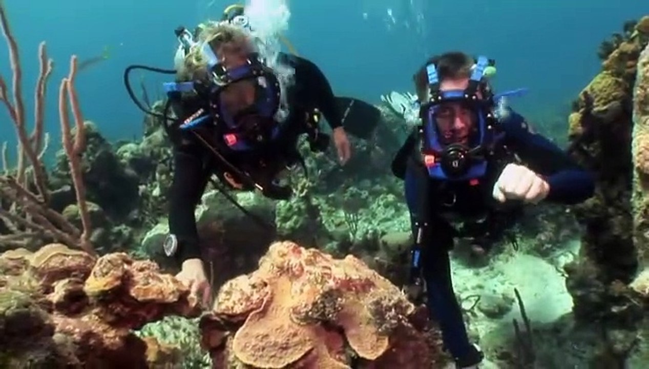 Bbc.Okeany.E04.Atlanticheskij.Okean