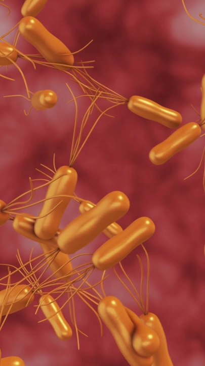 How do digestive system work?? 3D animation #viral#shorts#shortsfeeds#digestivesystem