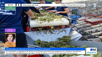 26/09/2024 - ICI Matin France Bleu Hérault en vidéo