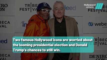 Hollywood Stars De Niro and Spike Lee on Trump's Election