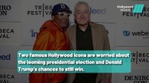 Hollywood Stars De Niro and Spike Lee on Trump's Election
