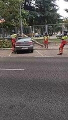 Parques cerrados por el viento