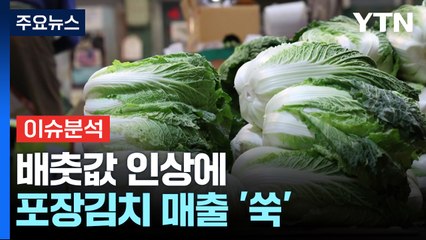 [경제PICK] 배춧값 인상에 포장김치 매출 '쑥'...일부 품절도 / YTN