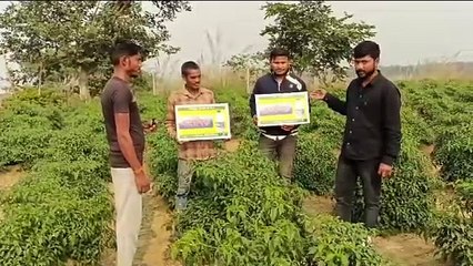 Agrochemical Products For Higher Crop Productivity in India|NACL