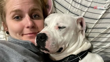 Le chien qu'elle avait en famille d'accueil est adopté : 4 ans après, elle apprend la plus triste des nouvelles (vidéo)
