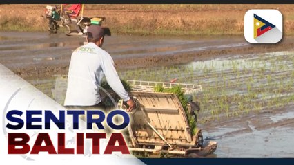 D.A. Sec. Tiu Laurel, ikinalugod ang pagratipika ng Kongreso sa panukalang pag-amyenda sa Rice Tariffication Law; Anti-Agricultural Economic Sabotage Bill, inaasahang maisasabatas ngayong araw