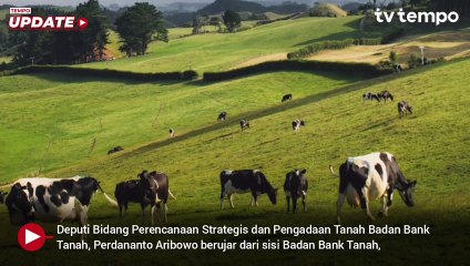 Bank Tanah Beri Karpet Merah untuk Industri Sapi Perah, Siapkan Lahan di Sulawesi Tengah