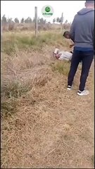 Fuego en Córdoba: detuvieron a un hombre alcoholizado que comenzó un incendio de manera intencional