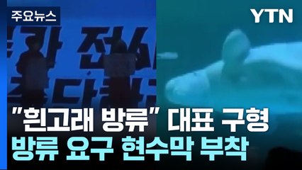 "흰고래 방류" 롯데월드 시위 활동가...실형 구형 / YTN