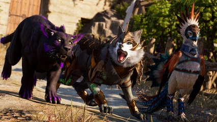 Monture Throne and Liberty : Tout savoir sur les Métamorphoses et les Transmutations