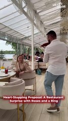 Surprise Marriage Proposal with Roses | A Moment to Remember ❤️