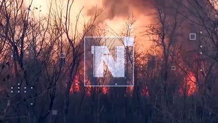 “Impotencia y rabia”: Califican como crimen horrendo los incendios en el oriente