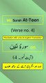 Surah At-Teen (التين) Ayah/Verse/Ayat 4 Recitation (Arabic) with English and Urdu Translations