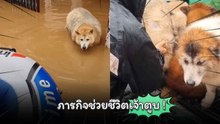 ฮีโร่ไม่จำเป็นต้องมีพลังวิเศษ ภารกิจช่วยชีวิตเจ้าตูบ !