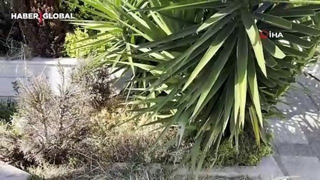 Cem Garipoğlu’nun açılacak olan mezarının son hali dikkat çekti