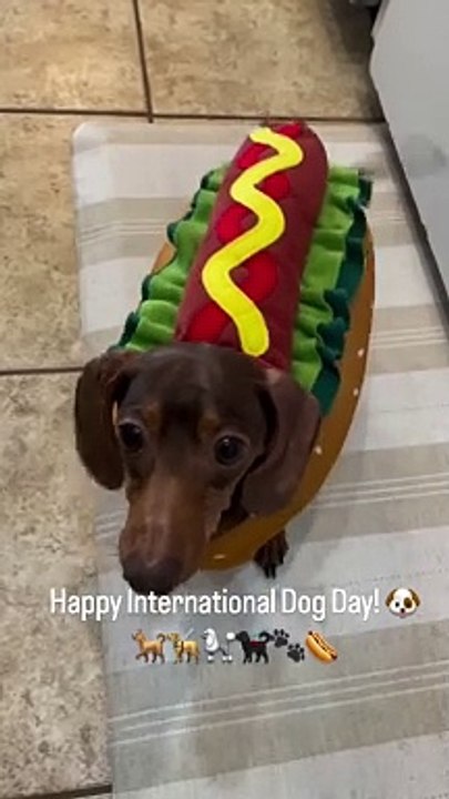 Fantasia de hot dog kkk
