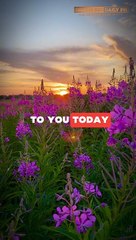 God's Message Today: A Powerful Shift is Coming - Trust the Journey