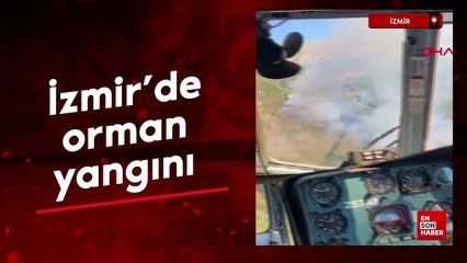 İzmir'de orman yangını çıktı