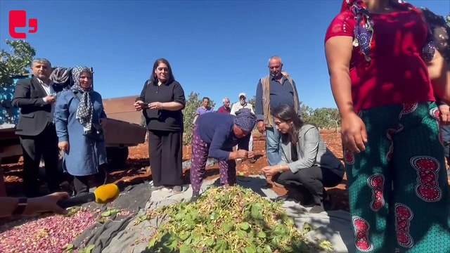 Hatimoğulları fıstık üreticilerinin sorunlarını ve taleplerini dinledi