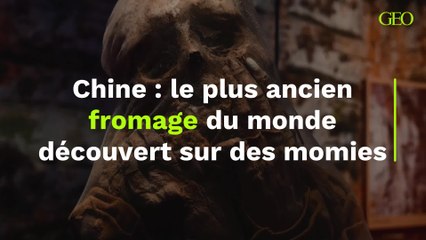 Le plus ancien fromage du monde découvert sur des momies millénaires en Chine
