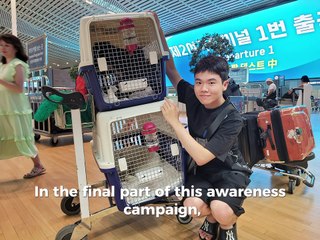 Help save Korean dogs - YOU can make a difference! - Part 3
