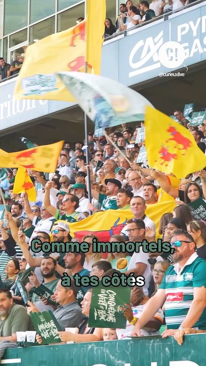 Comment le rugby rassemble autour de valeurs co...