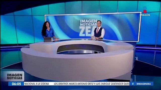 Por el huracán Helene, abren refugios para mascotas en Quintana Roo