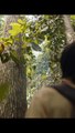 “La Naturaleza Habla”: Crudo cortometraje de los Incendios en el oriente, muestra el otro lado